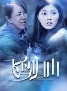 飞鸟归山第81-100集(大结局)