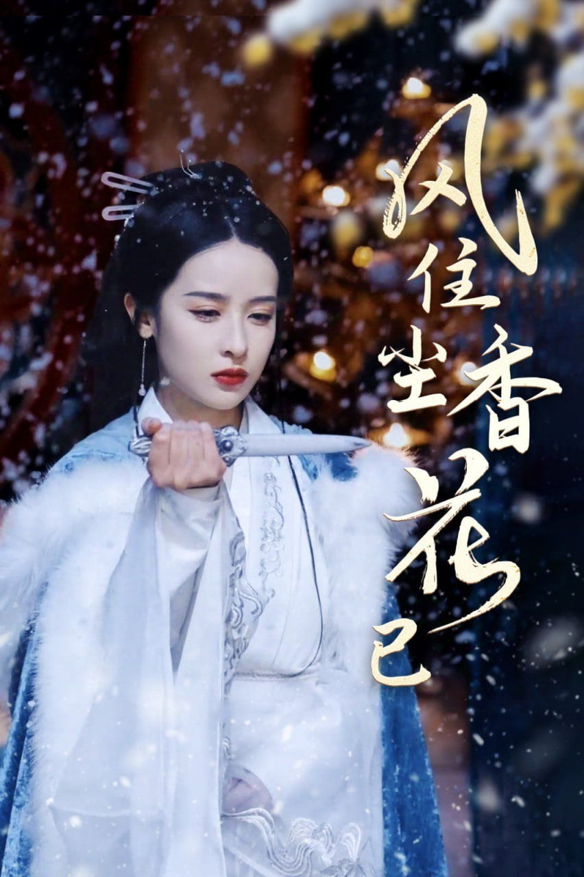 风住尘香花已尽第13集