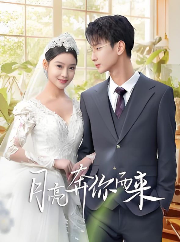 月亮奔你而来第13集