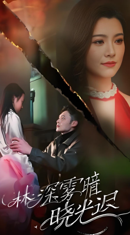 林深雾暗晓光迟第02集
