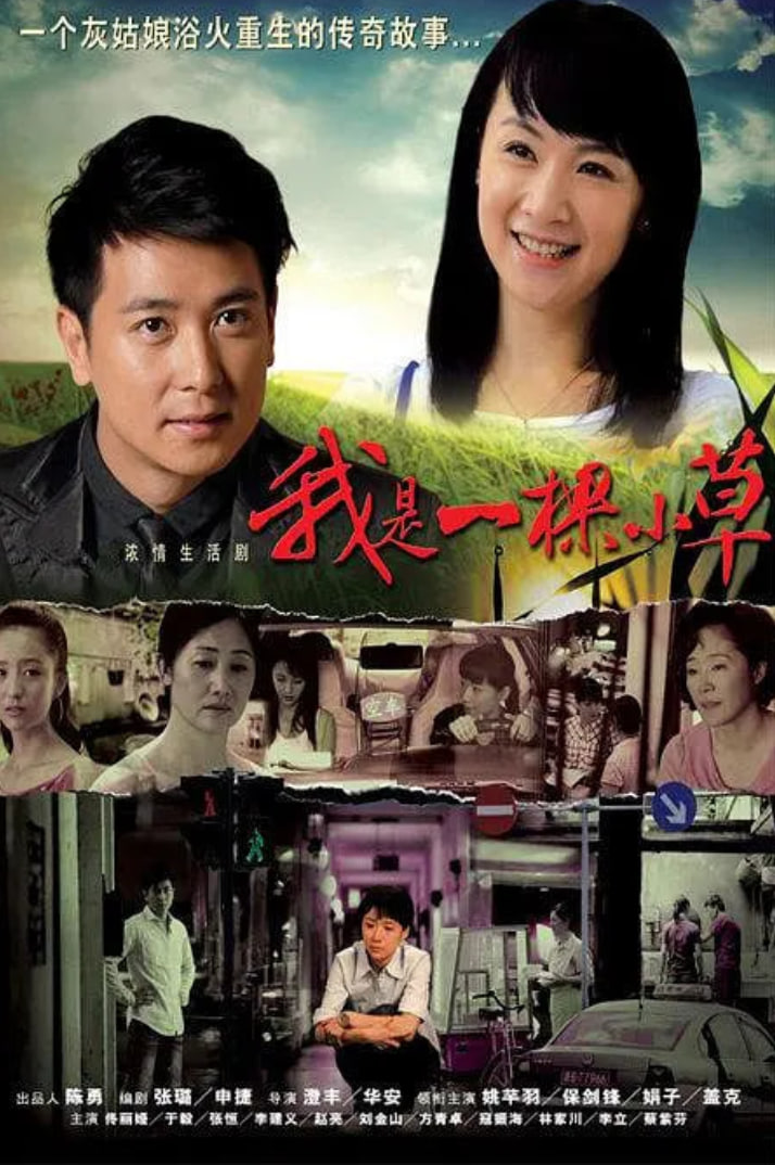 我是一棵小草(全集)