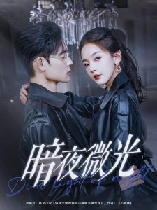 暗夜微光第62集