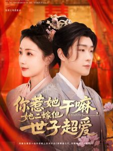 你惹她干嘛，她二嫁但世子超爱第22集